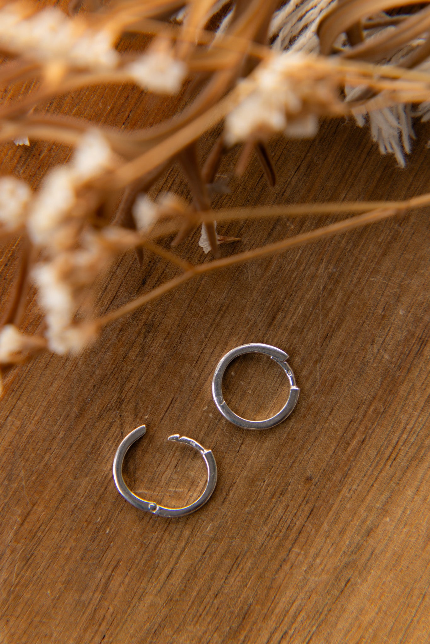 Hoop Earrings - No top