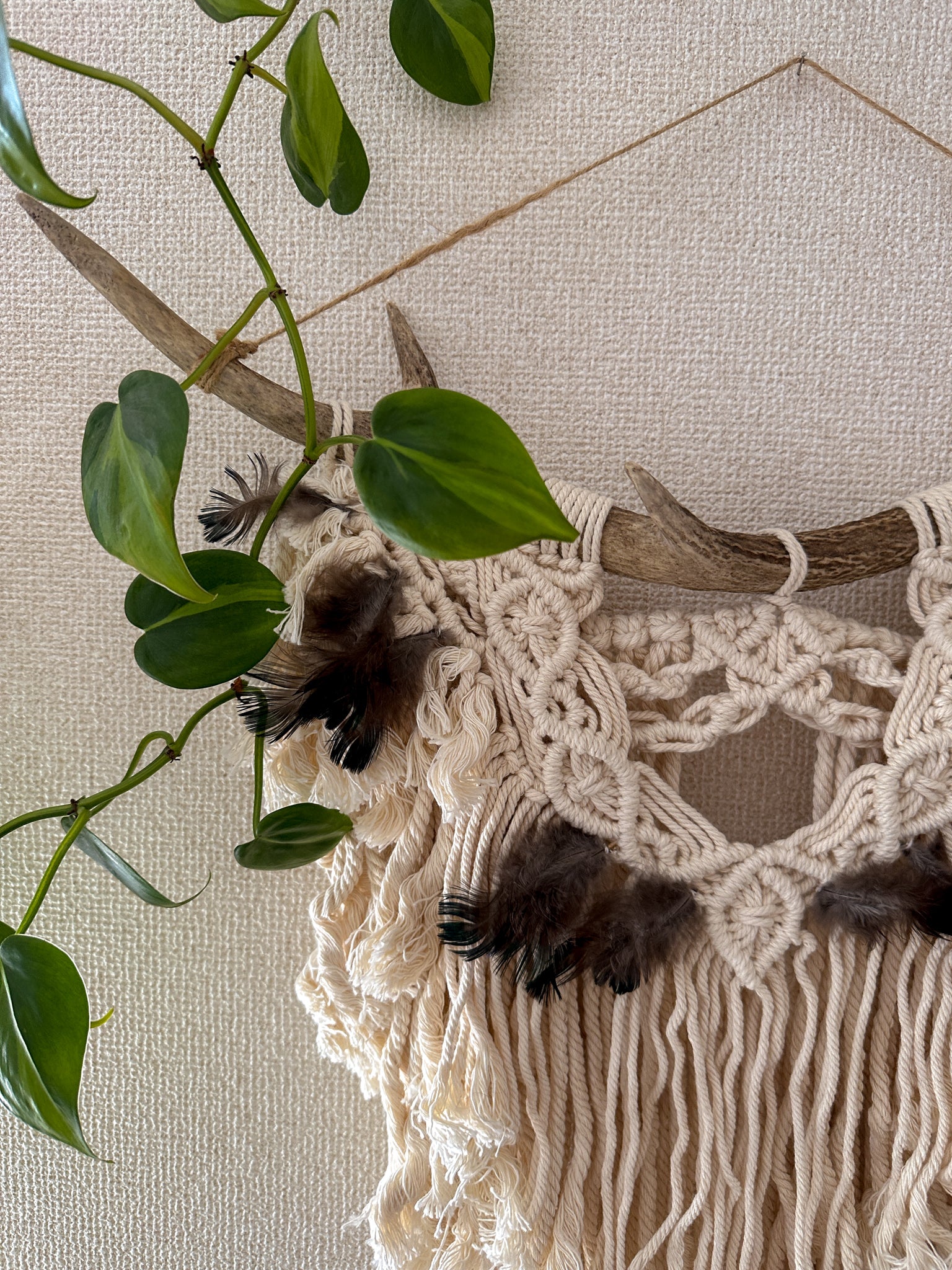 Macrame Tapestry - Deer horn, Feather