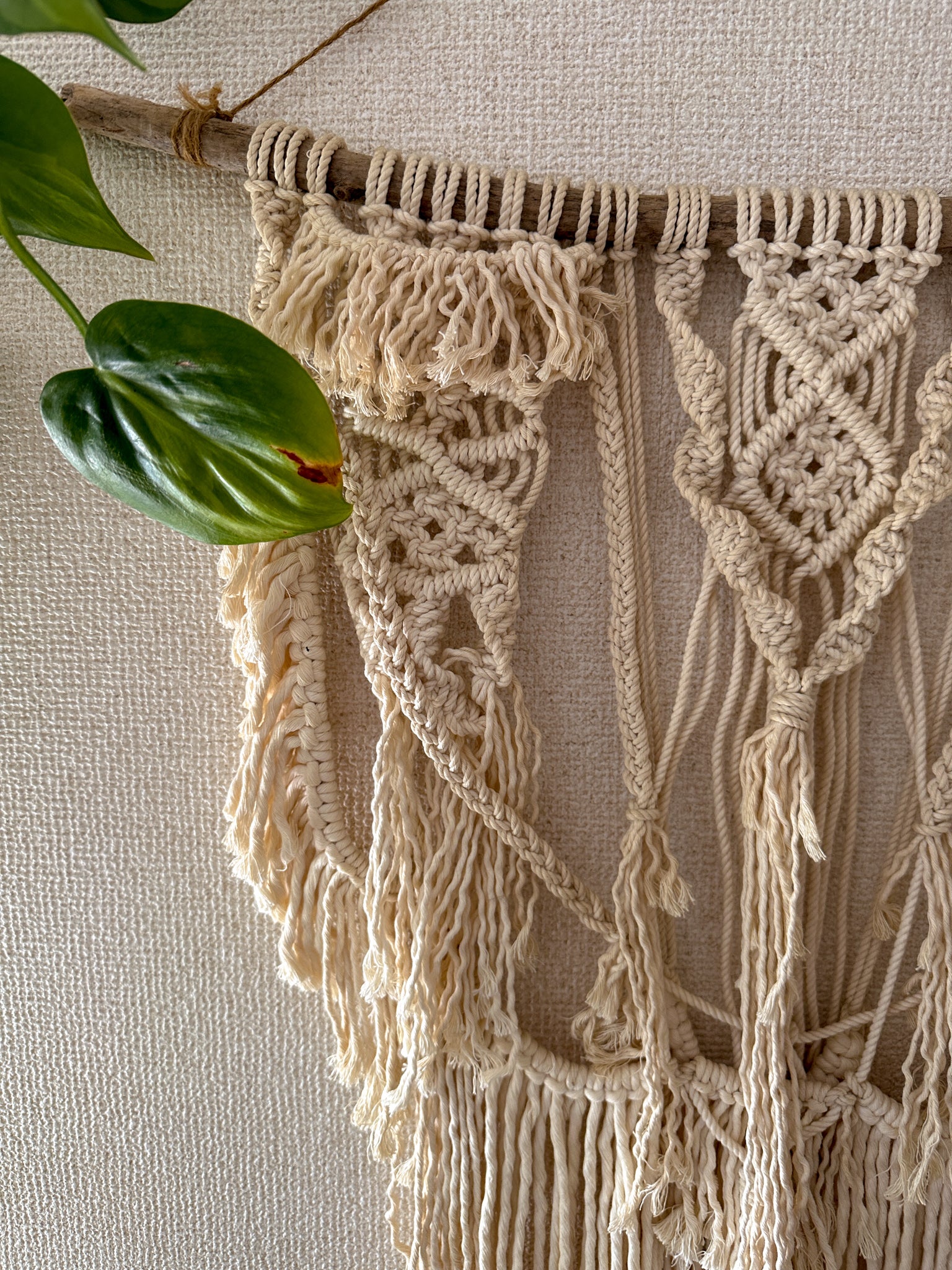 Macrame Tapestry - driftwood