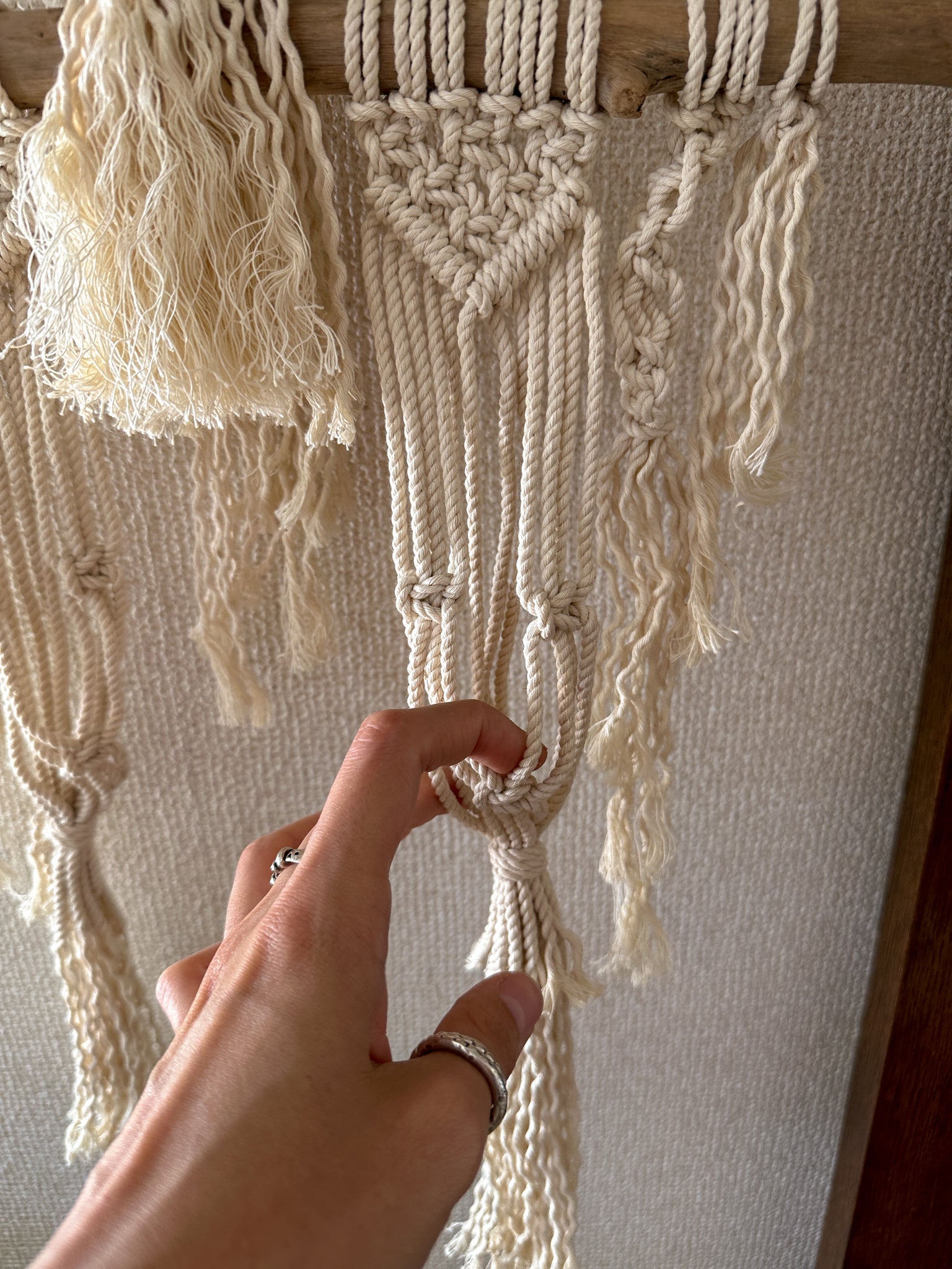 Macrame Plant holder / Tapestry - driftwood