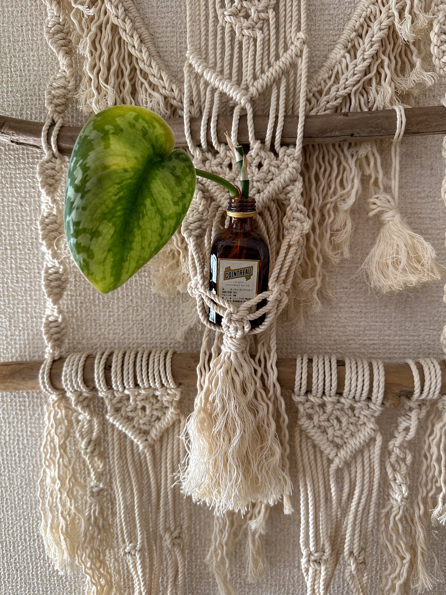 Macrame Plant holder / Tapestry - driftwood