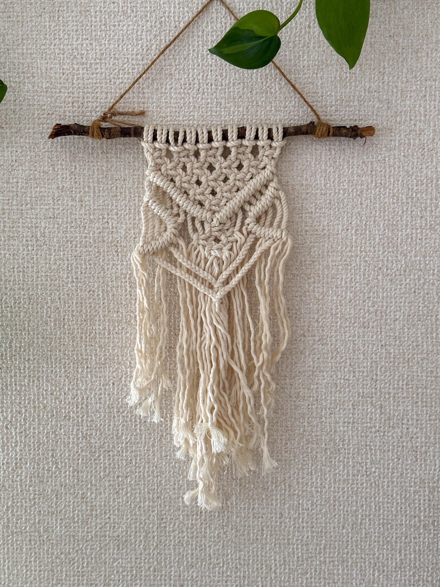 Macrame Tapestry - driftwood