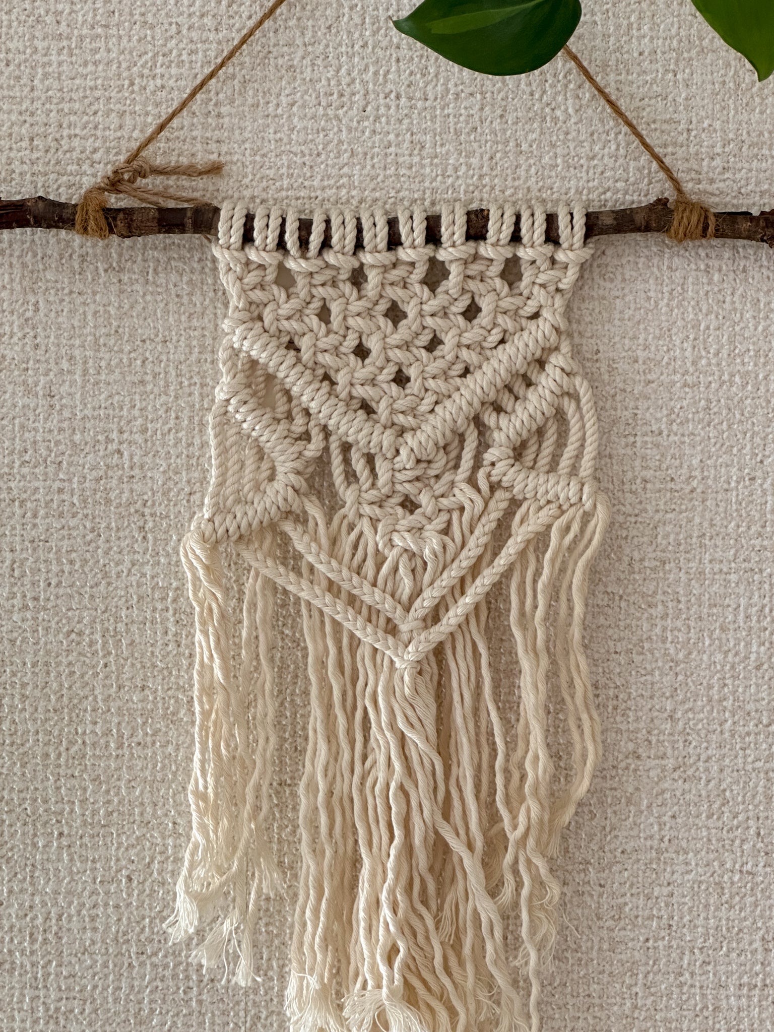 Macrame Tapestry - driftwood