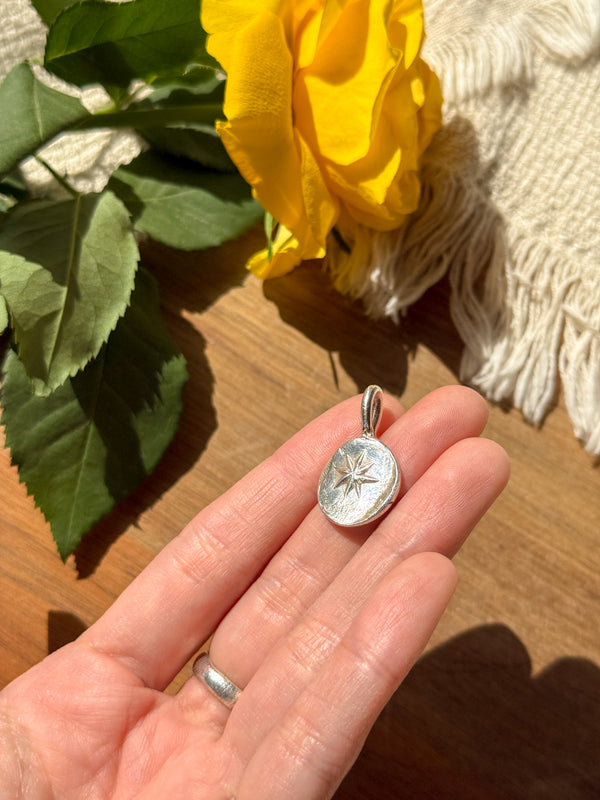 Shine Coin Pendant top D - daisy doe